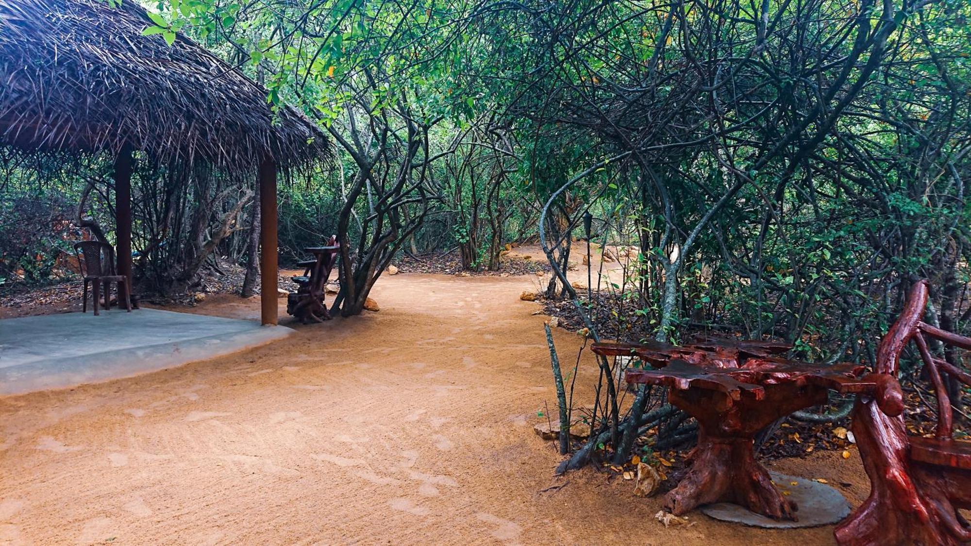 Podi Hoona Bush Camp Luxury tent