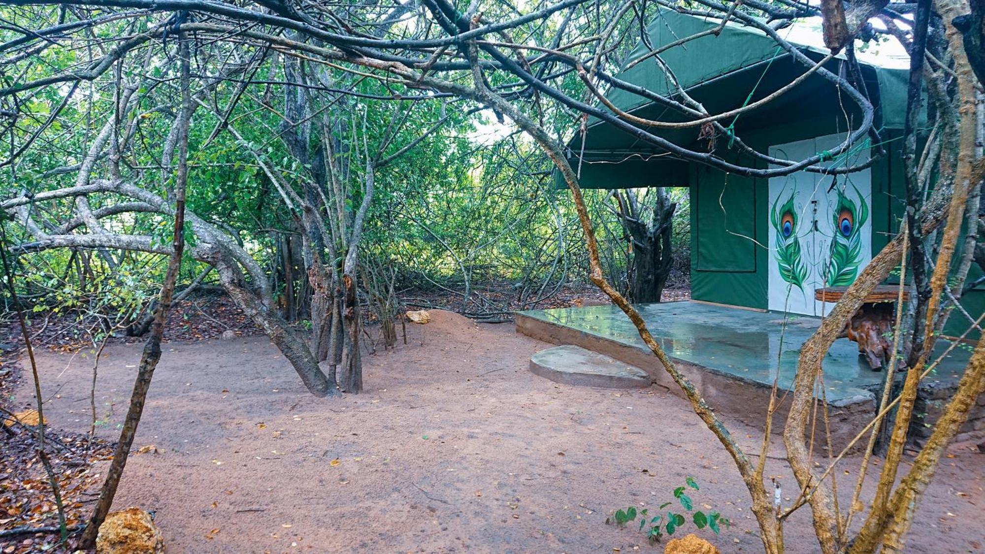 Podi Hoona Bush Camp Luxury tent Yala