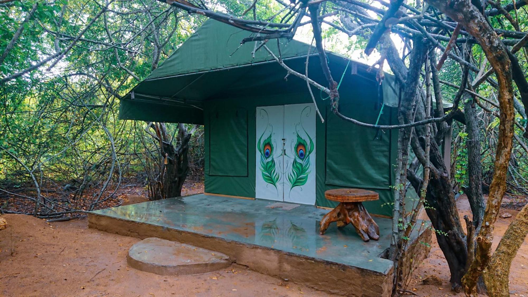Luxury tent Podi Hoona Bush Camp *
