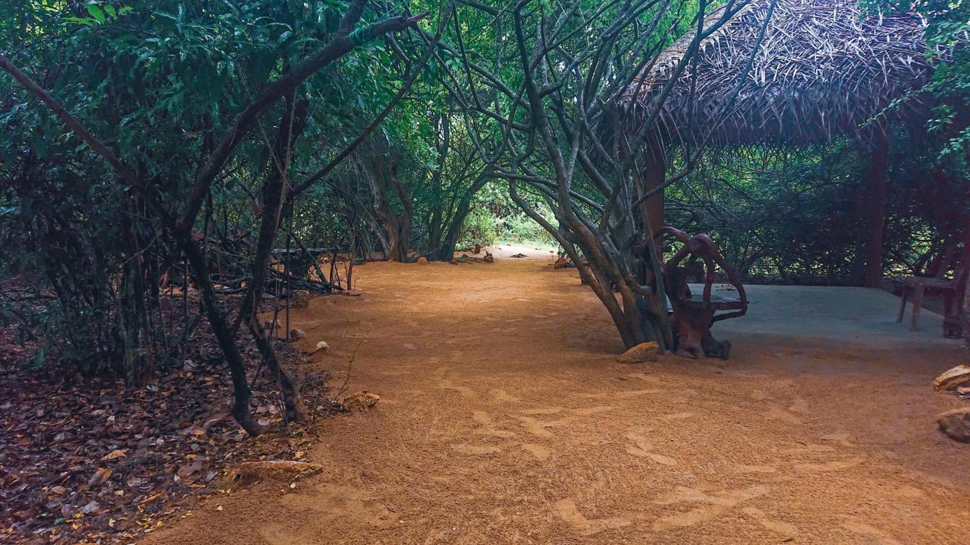 Podi Hoona Bush Camp Luxury tent Yala