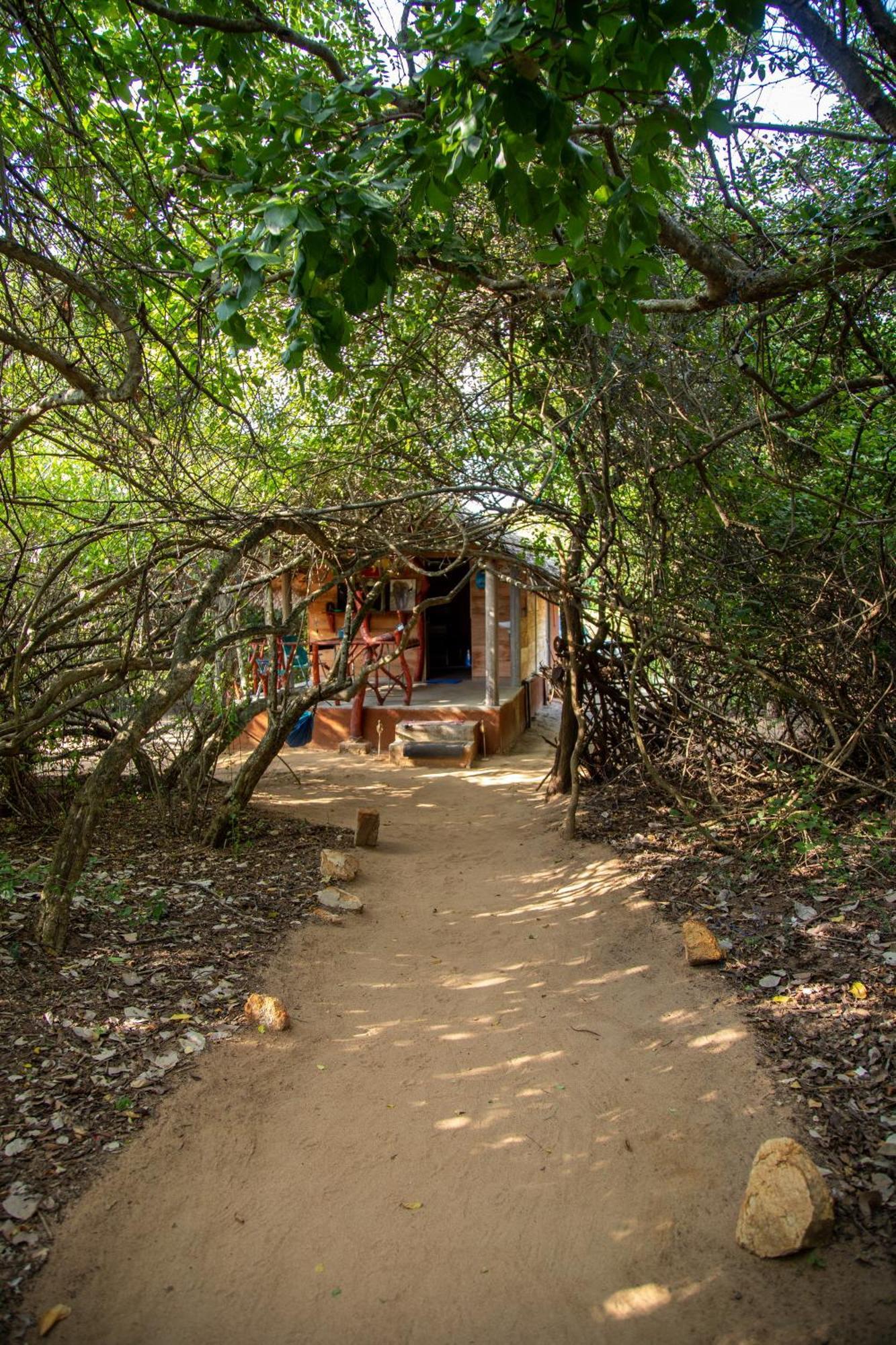Luxury tent Podi Hoona Bush Camp